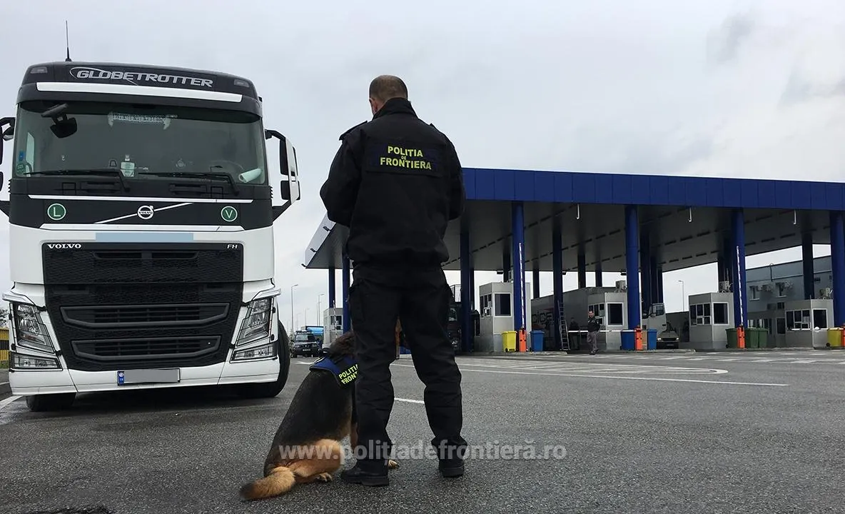 Controale dure la Punctul de Frontieră Giurgiu. Sunt monitorizate transporturile de animale vii