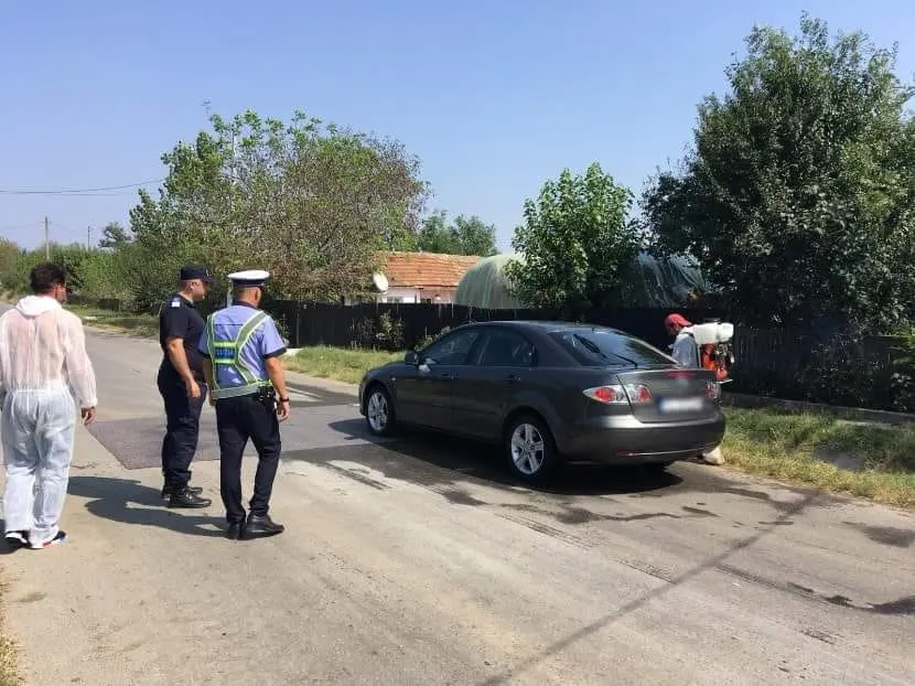 Imagini de la intervenţia autorităţilor în comuna unde a fost confirmată pesta porcină