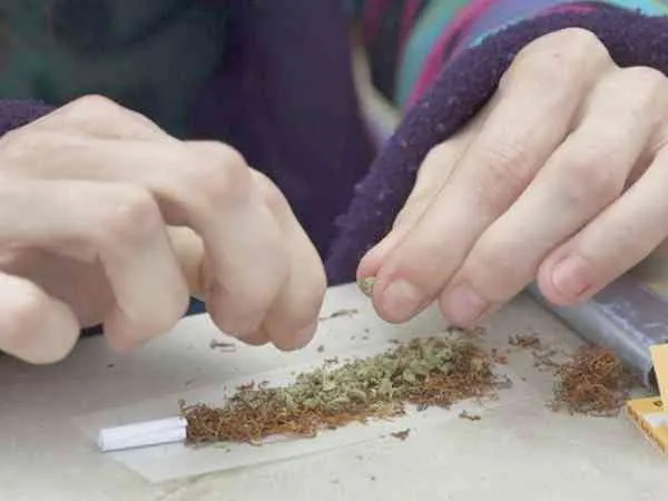 Doi traficanți de cannabis, descoperiți la Giurgiu
