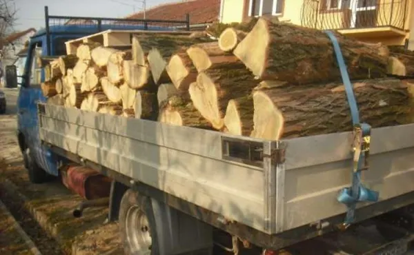 Amenzi pentru ilegalități în domeniul silvic
