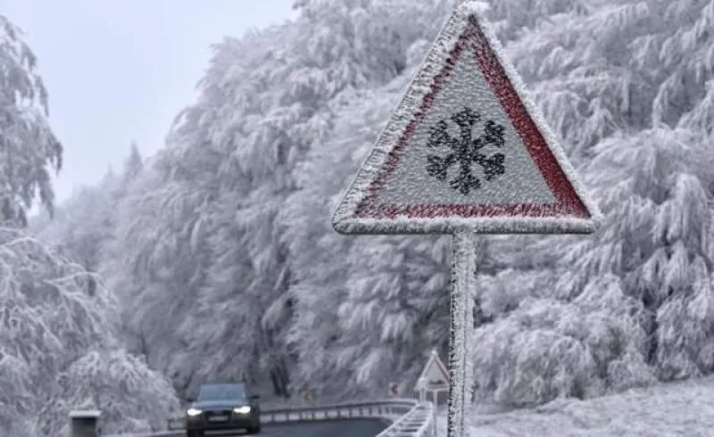 Toate școlile din țară vor fi închise până luni din cauza gripei