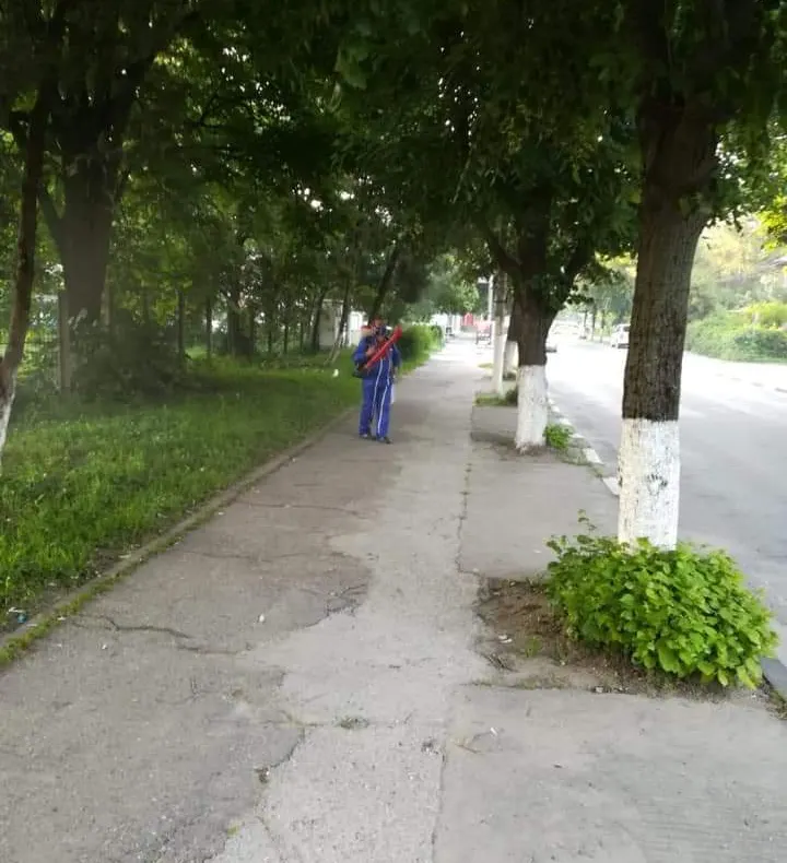 Invazia țânțarilor. Autoritățile au început dezinsecția la sol