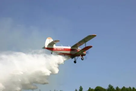 Front comun cu vecinii bulgari pentru combaterea insectelor dăunătoare