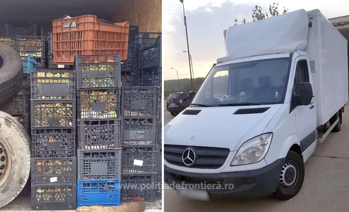 26 de imigranți irakieni și sirieni, descoperiți într-o autoutilitară cu struguri