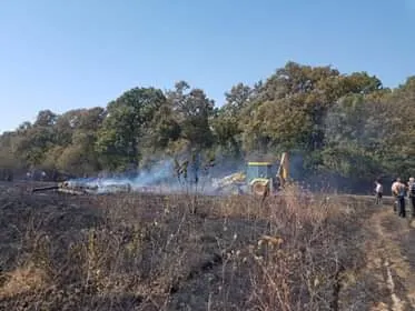 Pompieri din trei județe au intervenit la un incendiu de vegetație din vecinătatea unei păduri din județul Giurgiu