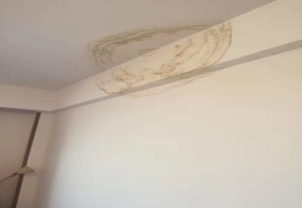 Carantină în mizerie, la Giurgiu. Gândaci și igrasie în camerele de hotel