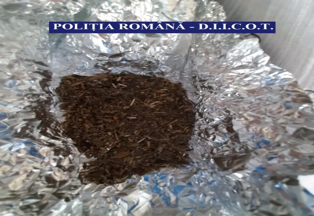 Percheziții la Giurgiu și Constanța, într-un dosar de trafic de droguri. Patru bărbați au fost reținuți