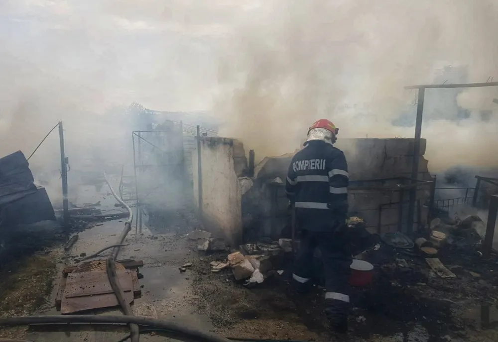 Incendiu de proporții la Hobaia. Sute de păsări, porci și un câine au pierit în flăcări