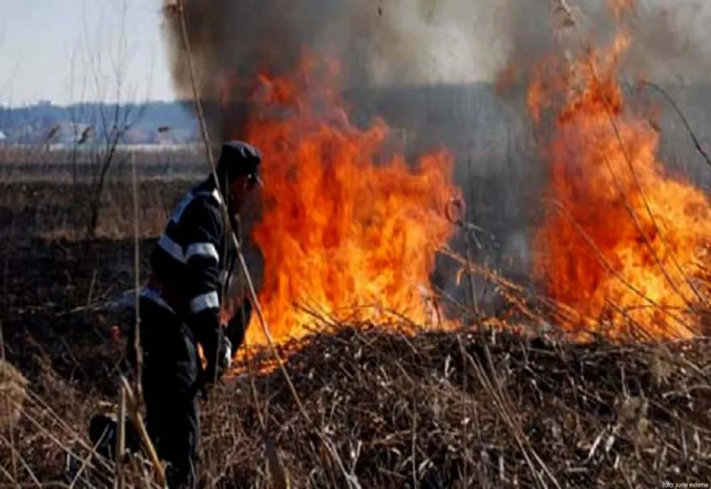 Pompierii de la ISU Giurgiu au intervenit la mai multe incendii de vegetație uscată și gunoi menajer