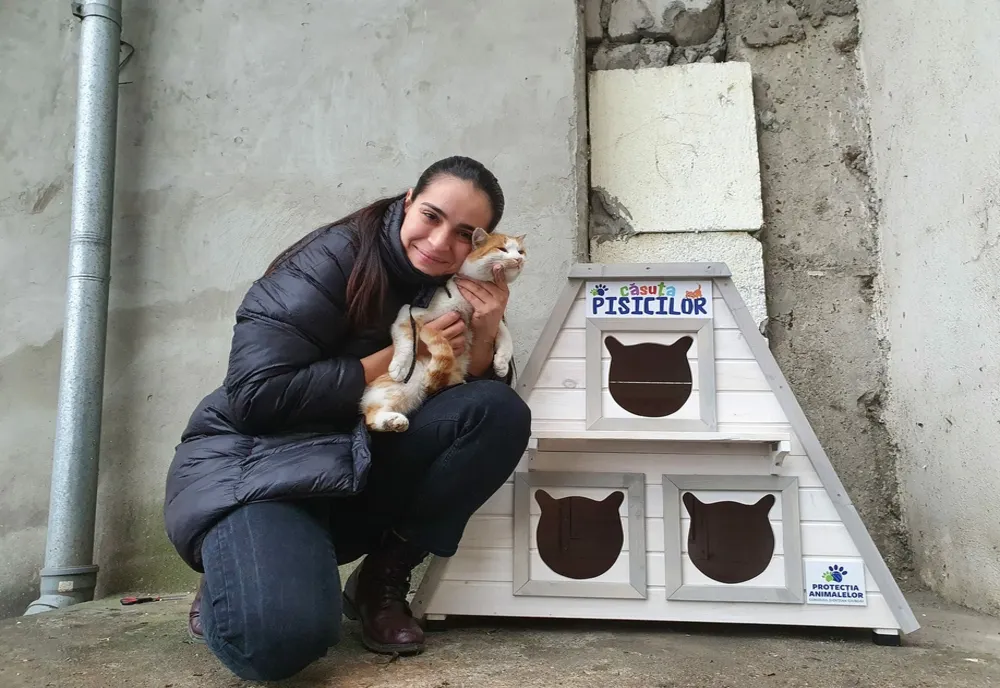 Căsuţe noi pentru pisicile fără stăpân. O iniţiativă demnă de apreciat