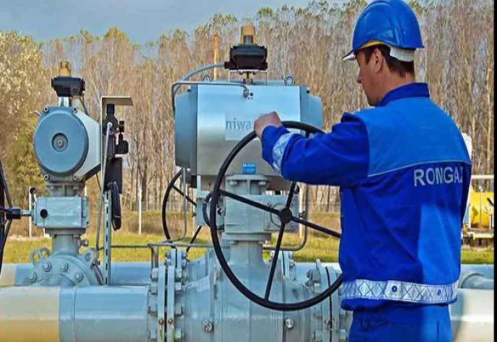Romgaz vrea să devină furnizor de gaze și energie electrică. De când ar urma să intre pe piață?