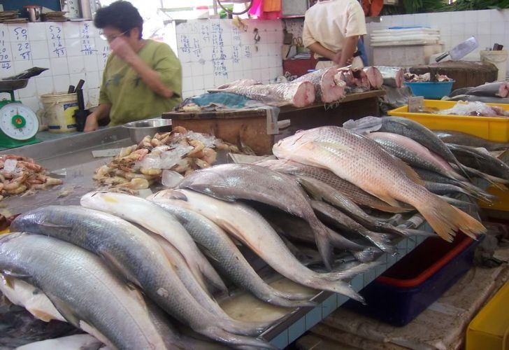 Controale la comercianții de pește din Giurgiu