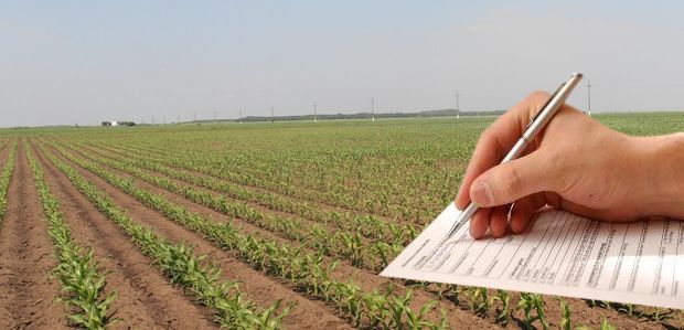 Atenție, fermieri! APIA anunță verificări!