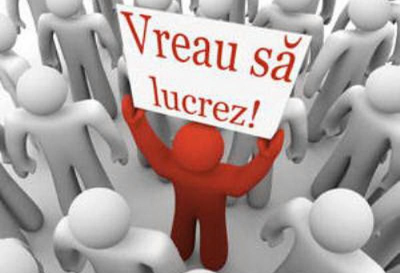 Locuri de muncă vacante pentru şomerii giurgiuveni. Iată ce se caută!