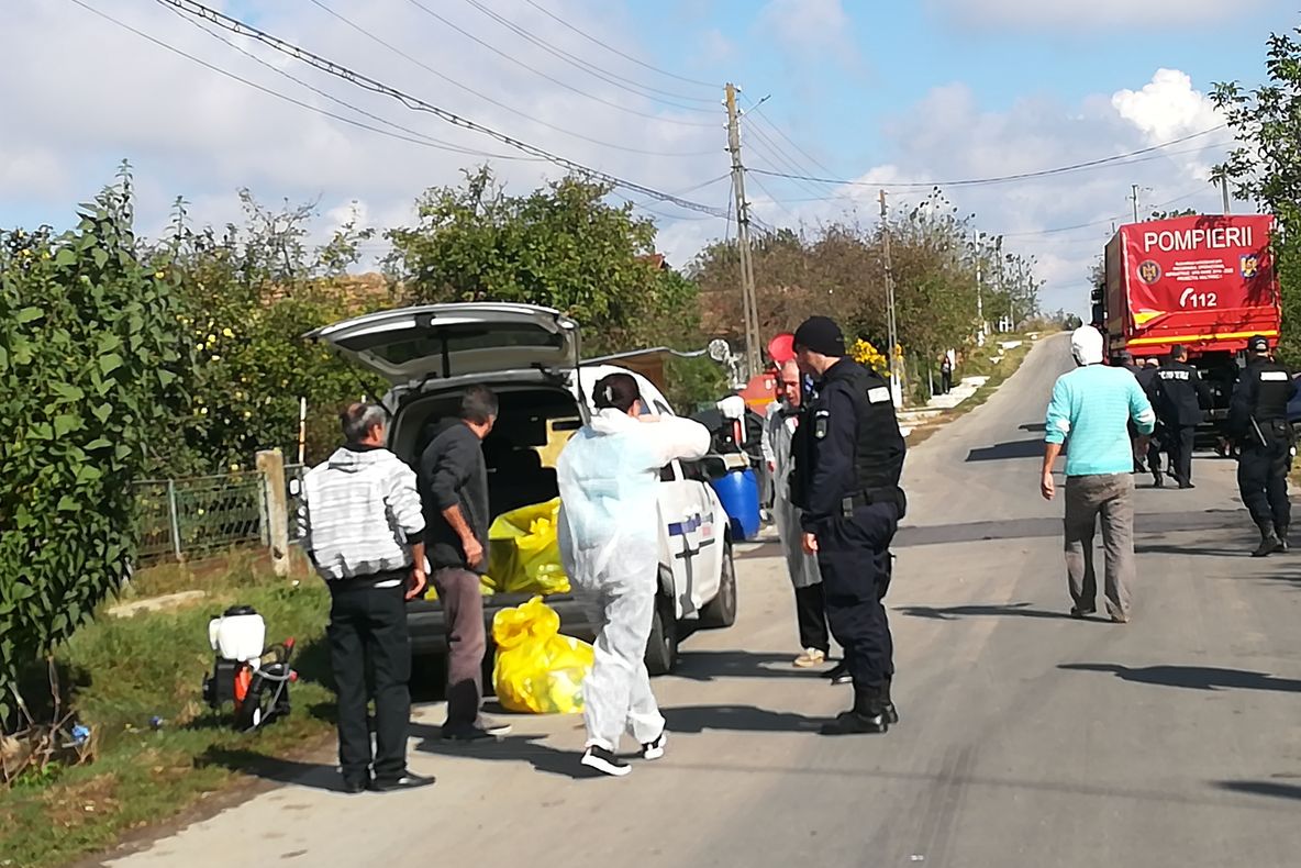 Giurgiu, afectat din nou de pesta porcină africană. Avem un nou focar!