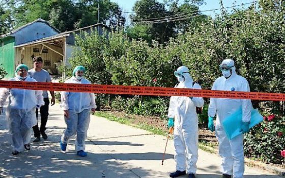 Anchetă penală în cazul epidemiei de pestă porcină