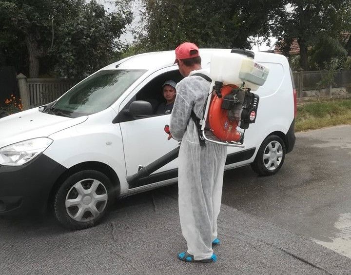 Ce se mai întâmplă cu Pesta Porcină în țară? Vezi Giurgiu!