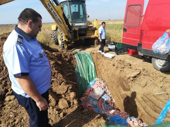 Resturi de carcasă de porc şi pui, cu miros pestilenţial şi fără documente de provenienţă confiscate de polițiști
