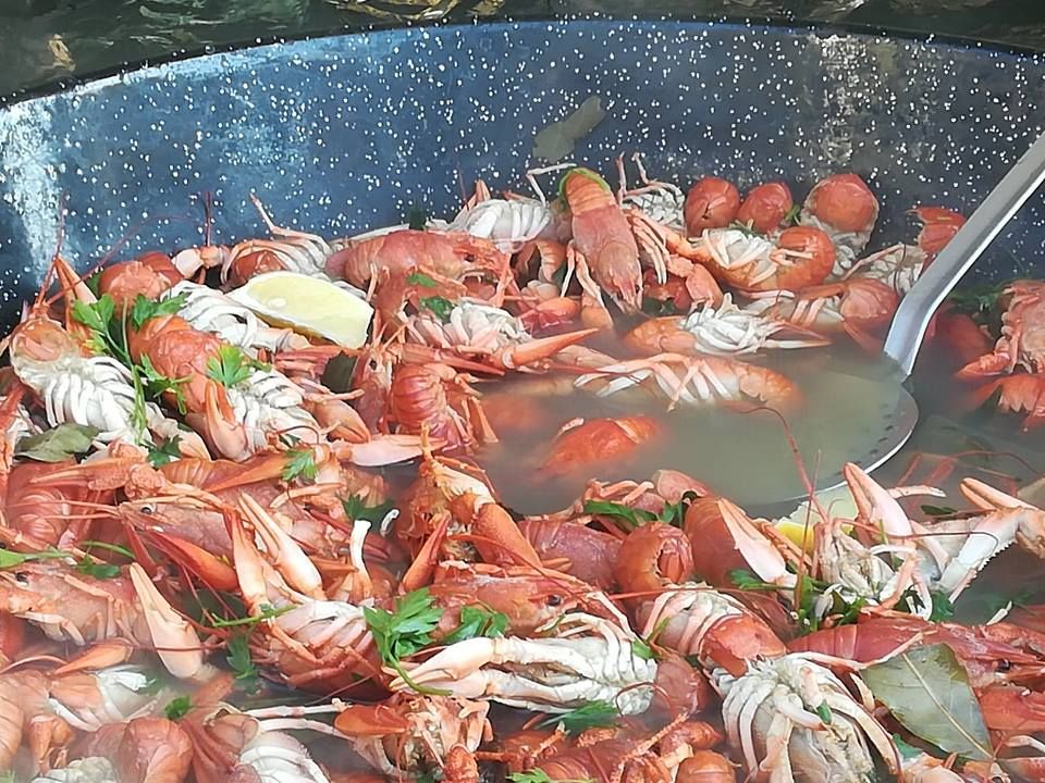 Giurgiuvenii au dat buluc la raci și fructe de mare