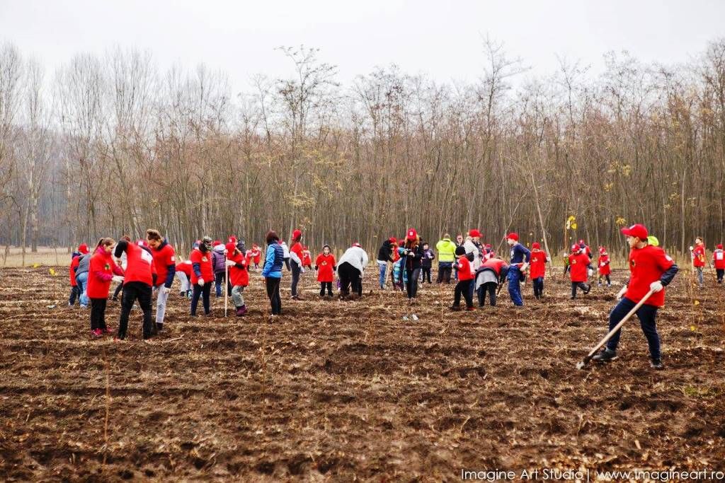 100 de puieți plantați de Garda de Mediu, cu prilejul Centenarului Marii Uniri