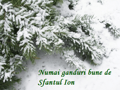 La mulți ani tuturor Ionilor și Ioanelor!