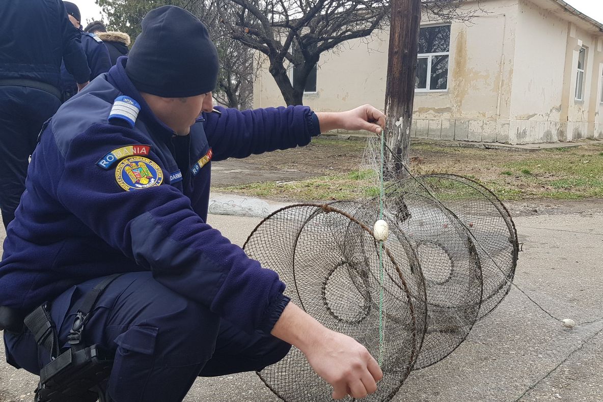 Plase monofilament confiscate de jandarmii giurgiuveni