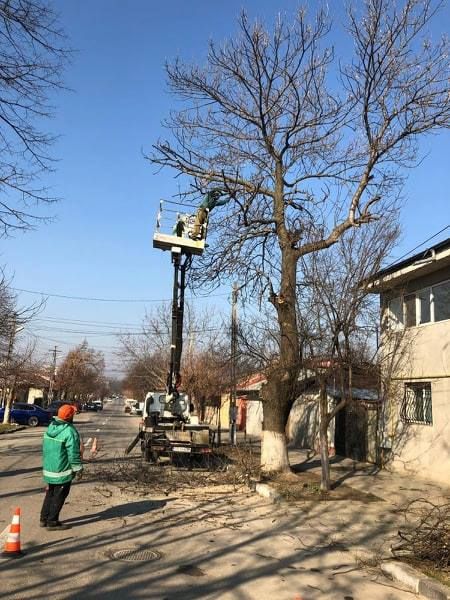 Lucrări de toaletare a arborilor și curățare a spațiilor verzi în Giurgiu