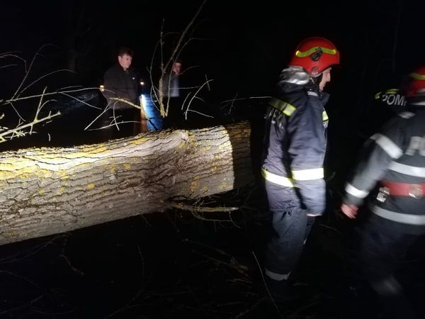 Furtuna a făcut ravagii în județul Giurgiu. Arbori căzuți pe carosabil și acoperișuri smulse de vânt