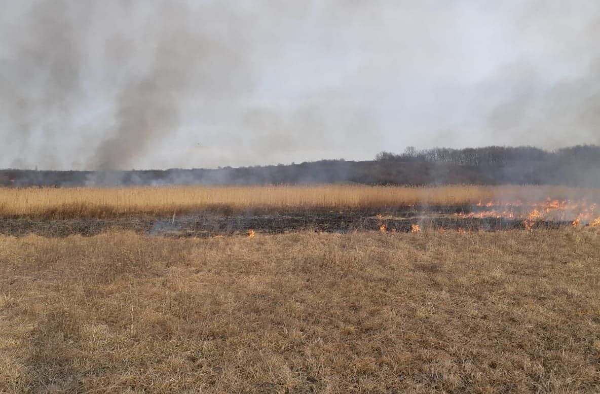 Stop incendiilor de vegetație uscată! Pompierii giurgiuveni avertizează!