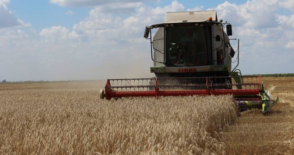 Cooperativele vor putea beneficia de scutirea impozitului pe clădire şi terenuri