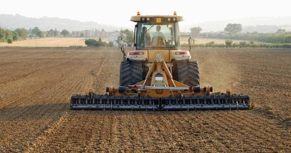 O slujbă de lucrător în fermă, în Danemarca, plătită cu până la 3.000 de euro lunar