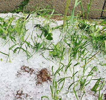 Grindina a făcut prăpăd la Giurgiu. Mii de hectare de culturi agricole, calamitate