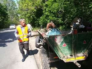 Voluntarii din Crevedia strâng deșeurile din pădure cu căruța
