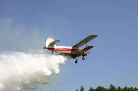 Front comun cu vecinii bulgari pentru combaterea insectelor dăunătoare