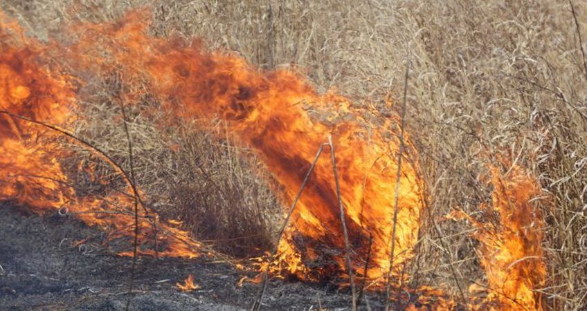 ATENŢIE CETĂŢENI! Incendiile de vegetaţie reprezintă un pericol pentru viaţă, bunuri materiale şi mediu