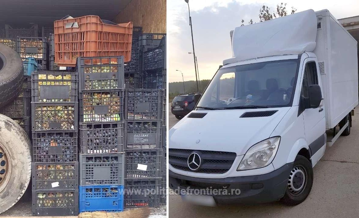 26 de imigranți irakieni și sirieni, descoperiți într-o autoutilitară cu struguri