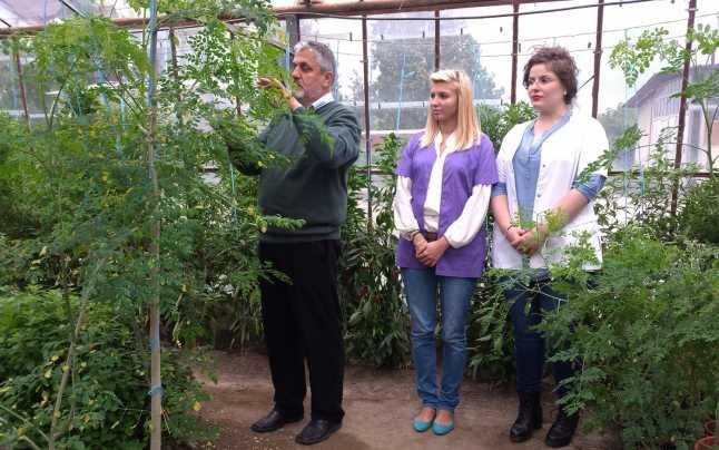 ”Parcul fără nume” din Giurgiu, igienizat și reamenajat cu sprijinul voluntarilor