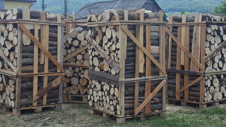 Razii ale polițiștilor în cadrul acțiunilor „Pirații Rutieri” și „Scutul Pădurii”