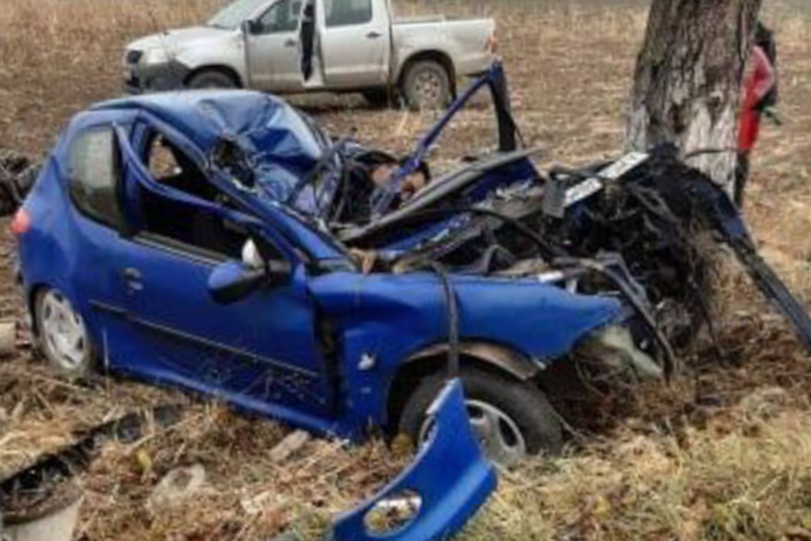 Un bărbat a murit pe loc pe DN 41, după ce a intrat cu mașina într-un copac
