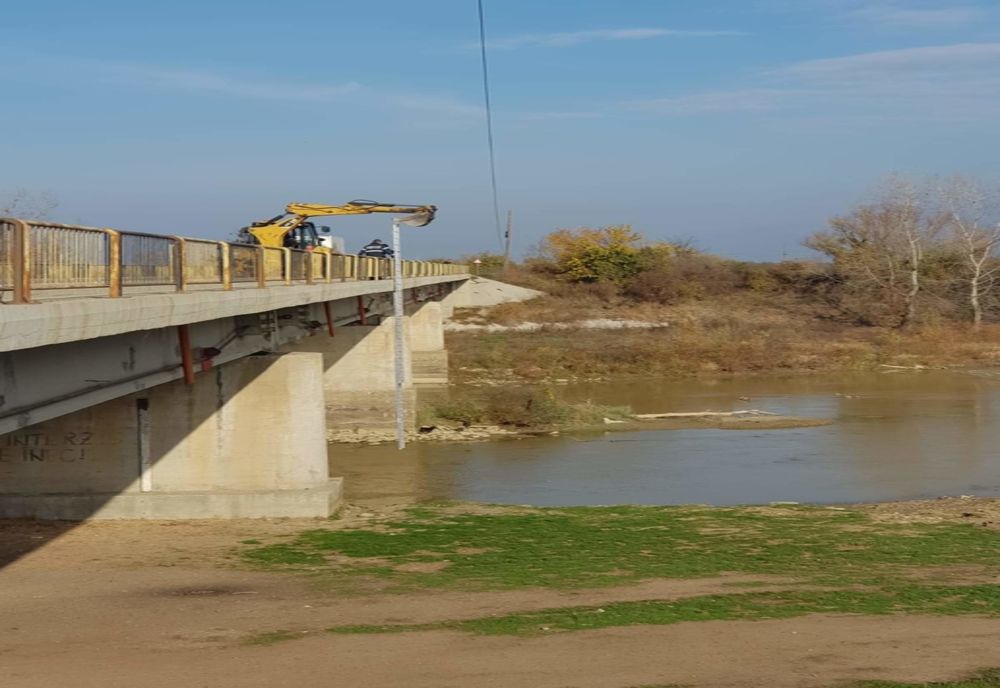 Animale salvate de pe o insulă de către pompierii giurgiuveni