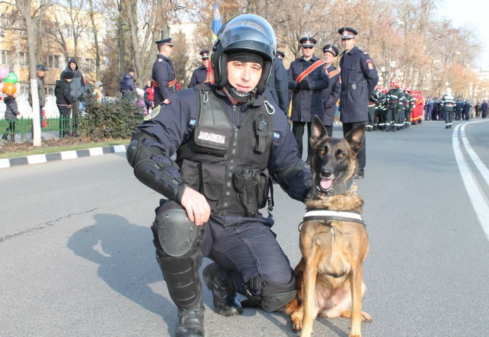 Animalele de serviciu aparținând instituțiilor publice din Giurgiu și nu numai, îngrijire pe viață