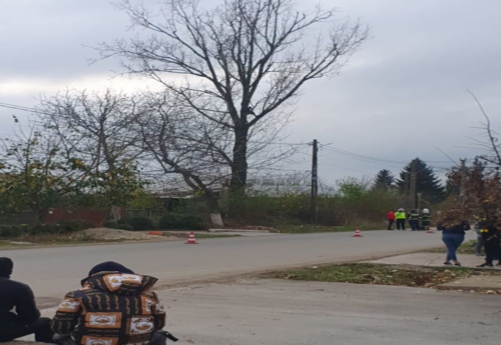 Un bărbat din Uzunu s-a urcat în copac și amenință că se aruncă