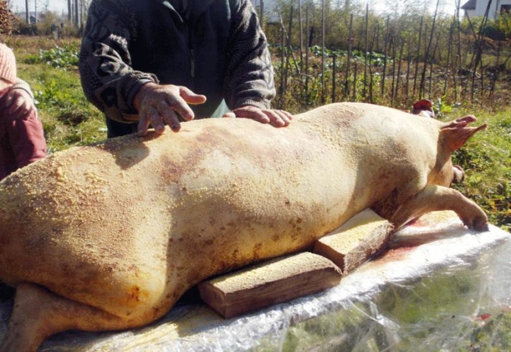 Ignatul, o sărbătoare păgână? Ce spun legendele