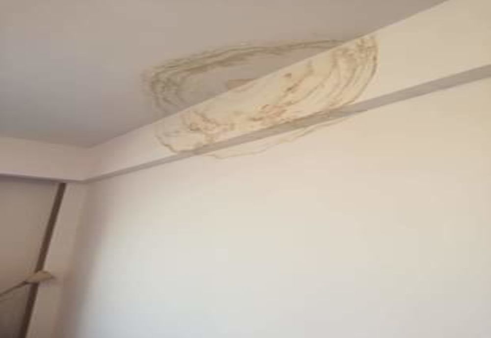 Carantină în mizerie, la Giurgiu. Gândaci și igrasie în camerele de hotel