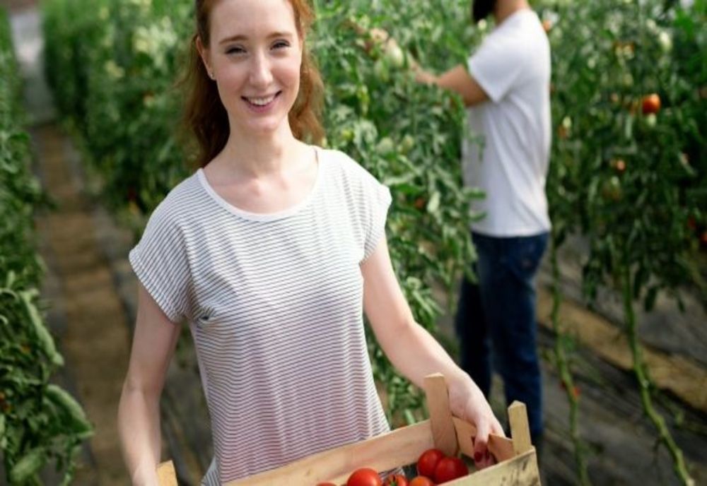 Stimulente pentru angajarea tinerilor în agricultură, acvacultură și industria alimentară 