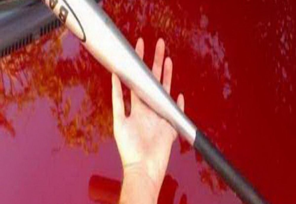 Încăierare cu bâtele, la Vânătorii Mici. Patru bărbaţi au fost reţinuţi