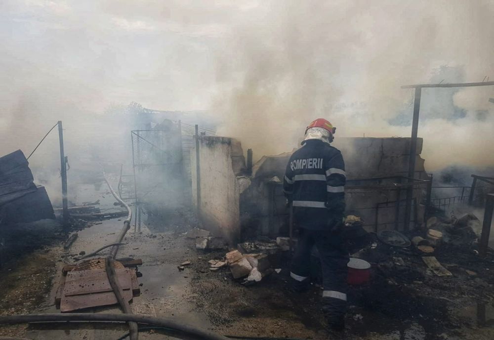 Incendiu de proporții la Hobaia. Sute de păsări, porci și un câine au pierit în flăcări