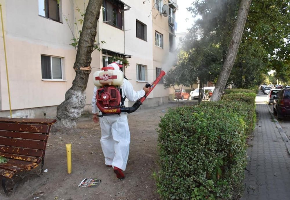 Noi acțiuni de dezinsecție terestră, la Giurgiu