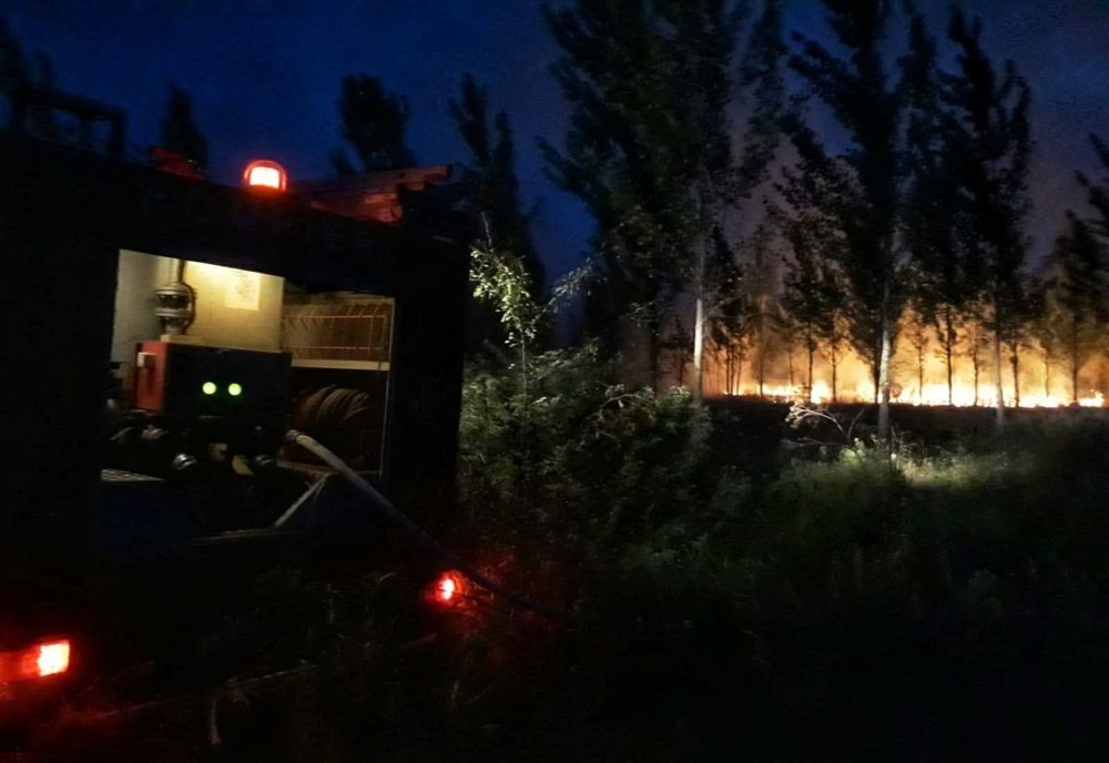 10 hectare de pădure din Slobozia, distruse de un incendiu