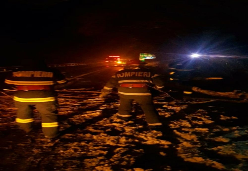 Copac căzut pe Autostrada A1. Banda de urgență și jumătate din banda 1, blocate